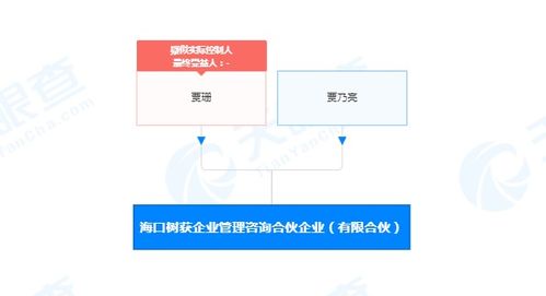 解碼社會經(jīng)濟(jì)咨詢服務(wù)的價(jià)值與挑戰(zhàn)